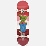 Deca 8.5 - Cactus - Complete Skateboard