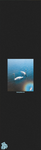 FRUITY 9" x 33" Grip Tape - Sam Johnson Swans