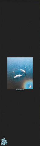 FRUITY 9" x 33" Grip Tape - Sam Johnson Swans